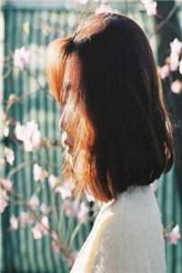 小娇夫的首辅大人